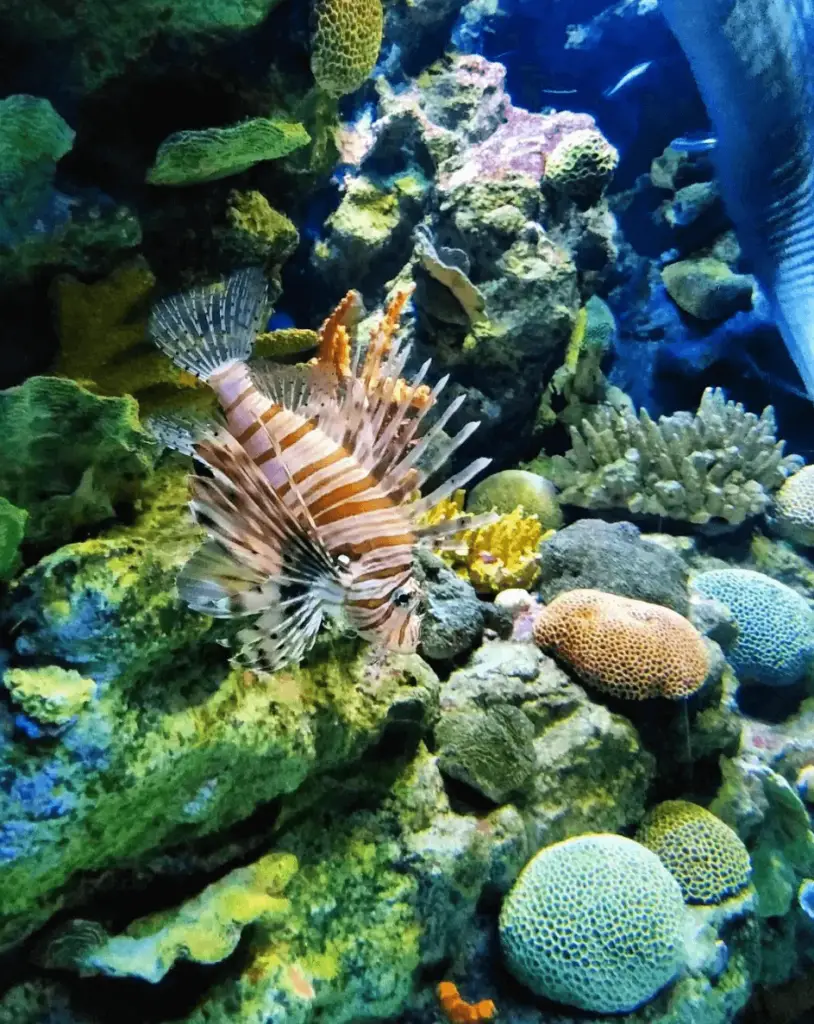 Foto del Aquarium de Barcelona - 3