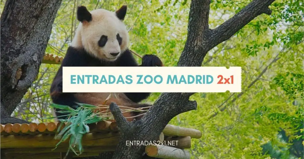 Entradas Zoo Madrid 2x1