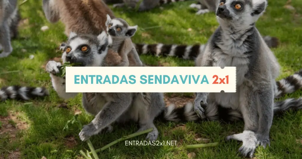 Entradas Sendaviva 2x1